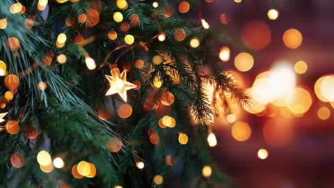 natra online show from December 23, 6:16 pm