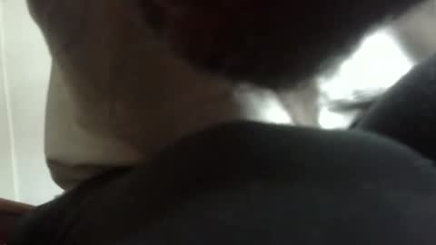 Arteblazze not daddy boy bitch or nigga online show from February 9, 5:06 pm