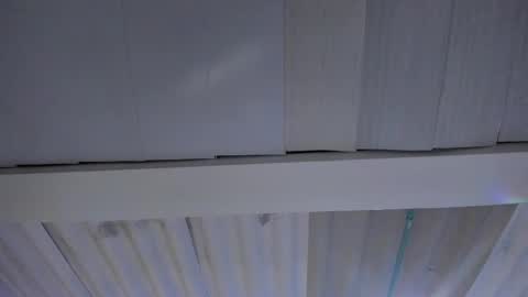 FENIX online show from November 20, 2:45 am