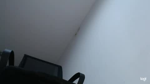 ashley online show from February 14, 5:41 am