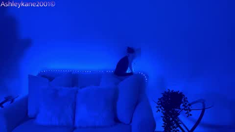 Ashley online show from January 20, 4:54 am