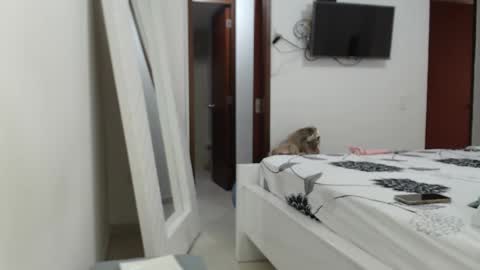 AshlyMoon online show from February 15, 9:37 pm