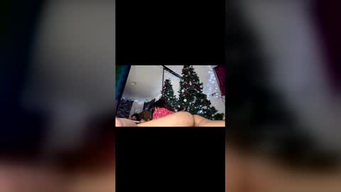 asian_babeee online show from December 2, 1:00 am