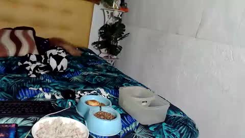 asianladyboy888 online show from November 24, 4:07 pm