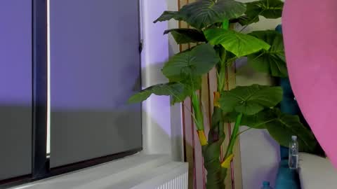 AsshleySing online show from February 23, 6:00 am