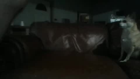 Snapshot of assholeslut9000 chatting on June 2, 4:03 am Tell me spread and Ill spread online show from June 2, 4:03 am