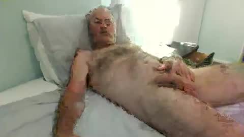 auckland26 online show from December 2, 9:47 am