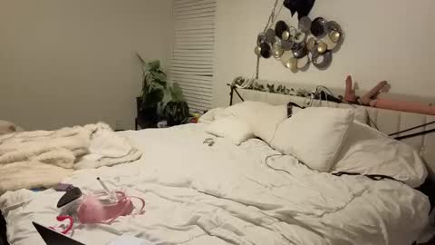 Aurora and Orion online show from November 1, 12:56 am