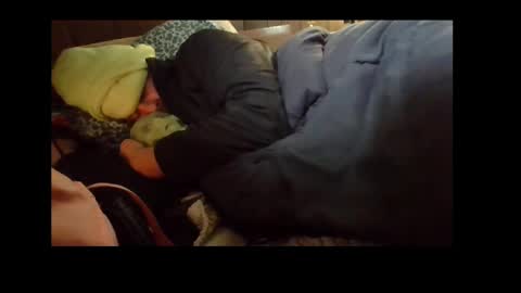 Snapshot of automaticmechanic chatting on December 4, 7:28 am Senior Agua online show from December 4, 7:28 am