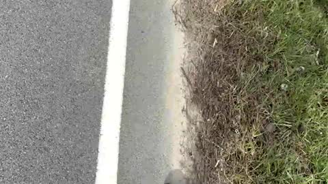 Snapshot of ayla_ty chatting on March 15, 8:15 pm AylaTy online show from March 15, 8:15 pm