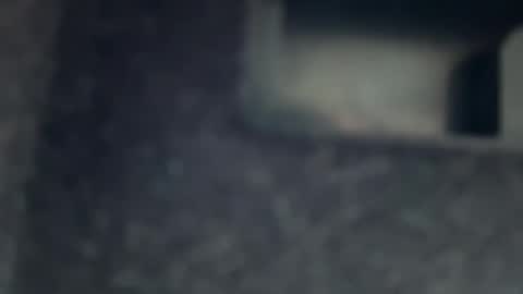 AYBOY online show from November 17, 11:38 am