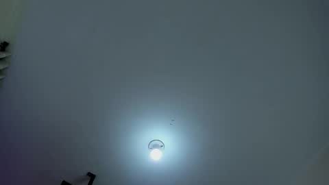 AZUL online show from December 19, 1:51 pm