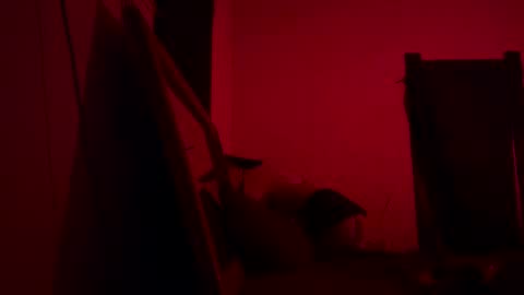 yasmin blake online show from February 25, 7:52 am