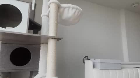 Snapshot of babydaddiii808 chatting on January 8, 11:01 am DADDY online show from January 8, 11:01 am