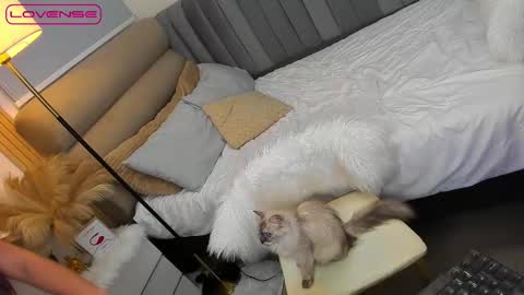 ASK ME IN PM online show from October 27, 1:48 pm