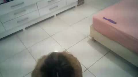 babyluna16 online show from October 4, 6:06 pm