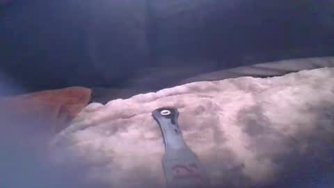 bacchusexx15 online show from April 17, 4:43 pm