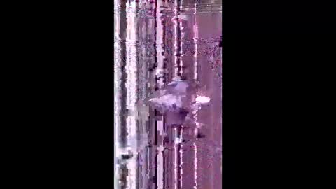 bad_boy2299 online show from June 2, 5:26 pm