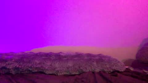 Snapshot of baddiejess618433 chatting on December 14, 4:45 am baddiejess618433 online show from December 14, 4:45 am