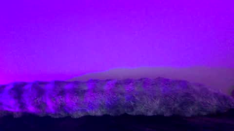 Snapshot of baddiejess618433 chatting on December 18, 5:26 am baddiejess618433 online show from December 18, 5:26 am