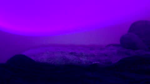 Snapshot of baddiejess618433 chatting on January 5, 6:02 am baddiejess618433 online show from January 5, 6:02 am