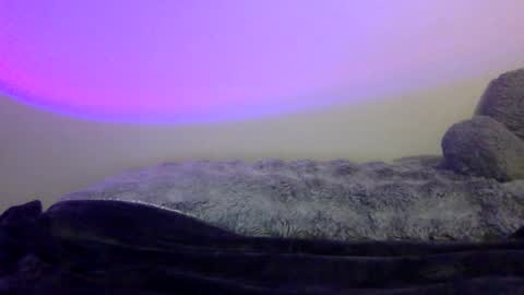 Snapshot of baddiejess618433 chatting on January 5, 8:10 pm baddiejess618433 online show from January 5, 8:10 pm