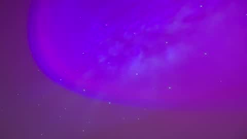 Snapshot of baddiejess618433 chatting on February 23, 5:23 am baddiejess618433 online show from February 23, 5:23 am