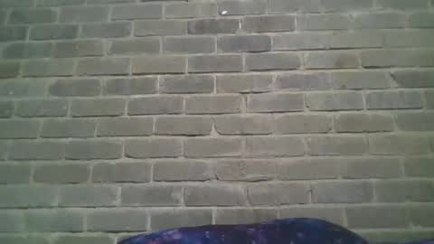 Snapshot of baielekker81578 chatting on January 19, 1:01 pm Chaterlain online show from January 19, 1:01 pm