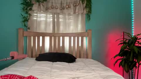 Snapshot of bailijade chatting on September 9, 3:44 pm My name  BailiJade   online show from September 9, 3:44 pm