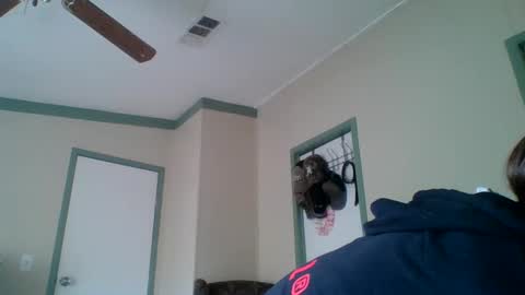 bamacpl80 online show from December 27, 5:26 pm