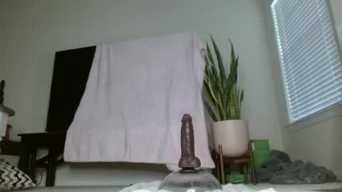Snapshot of bambirachel1 chatting on June 23, 11:36 pm bambirachel1 online show from June 23, 11:36 pm