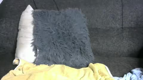 barcadi luiz online show from January 27, 3:18 pm