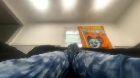 Barney online show from October 15, 2:50 pm