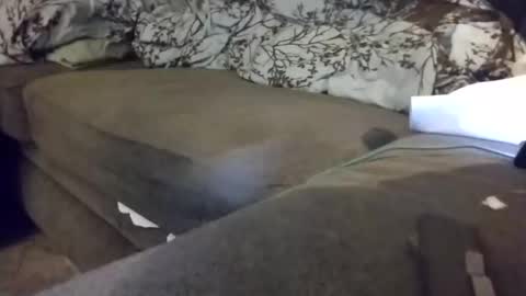 Snapshot of barrett4200 chatting on January 20, 12:15 am barrett4200 online show from January 20, 12:15 am