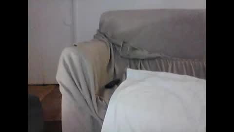 Snapshot of barrysand chatting on February 6, 7:45 am barrysand online show from February 6, 7:45 am