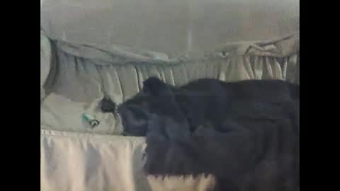 Snapshot of barrysand chatting on September 23, 2:14 am barrysand online show from September 23, 2:14 am