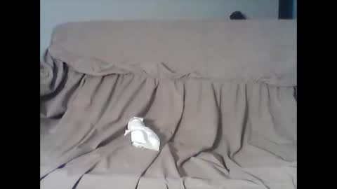 Snapshot of barrysand chatting on November 11, 4:12 am barrysand online show from November 11, 4:12 am