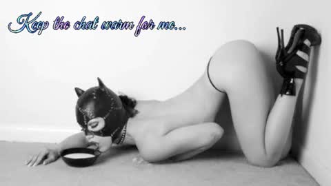 Your always sexy Harley online show from July 8, 8:19 am