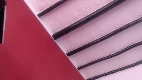 bayonette_black online show from December 13, 11:23 am