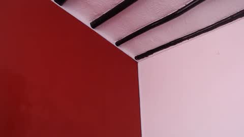 bayonette_black online show from September 10, 12:49 pm