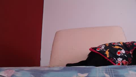 bayonette_black online show from September 26, 12:09 pm