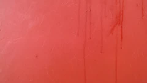 bayonette_black online show from November 24, 7:13 pm