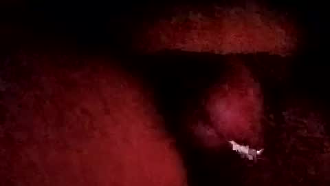 bcfalcon69 online show from January 19, 6:06 am