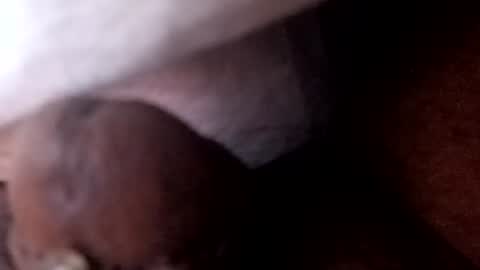 bcfalcon69 online show from July 2, 5:46 am