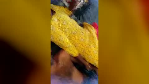 bd5980 online show from August 7, 9:44 am