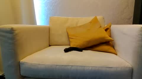 Snapshot of bd_19_6 chatting on February 9, 3:16 pm bd online show from February 9, 3:16 pm