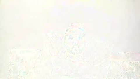 beachboyhardonyou online show from February 13, 10:55 am