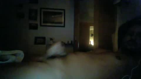 bearboudior online show from February 16, 1:58 am