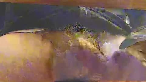 bebbi78022 online show from October 26, 3:34 am