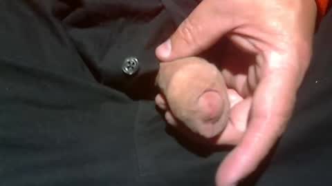 Snapshot of beer27 chatting on November 2, 1:41 am Reservoir Dogs online show from November 2, 1:41 am